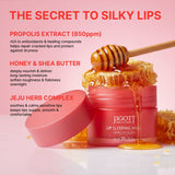 Jigott Lip Sleeping Mask — Overnight Lip Moisture Treatment with Berry Extract